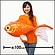 エアPOPバルーン　メガ-金魚　全長100cm